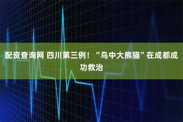 配资查询网 四川第三例!“鸟中大熊猫”在成都成功救治