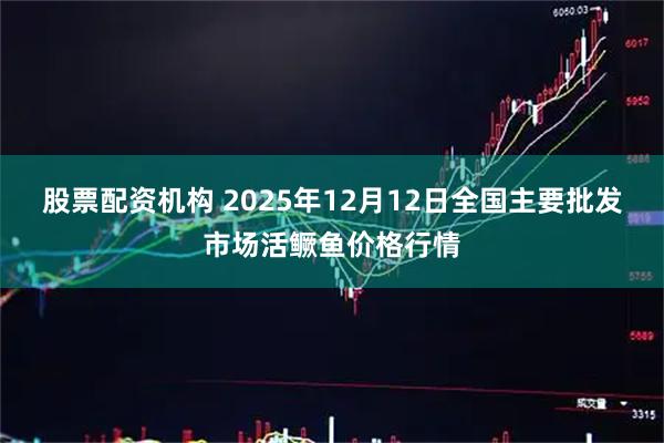 股票配资机构 2025年12月12日全国主要批发市场活鳜鱼价格行情