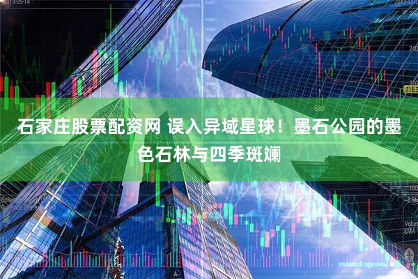 石家庄股票配资网 误入异域星球!墨石公园的墨色石林与四季斑斓