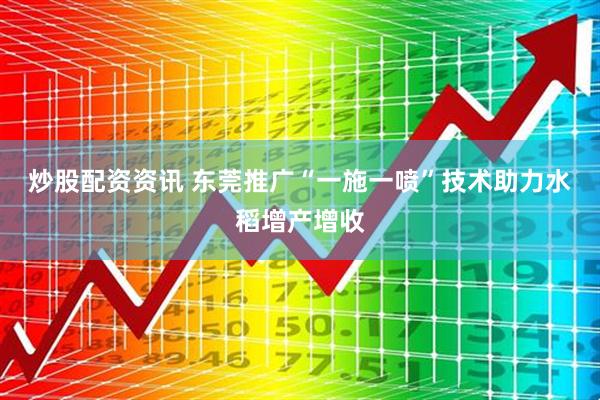 炒股配资资讯 东莞推广“一施一喷”技术助力水稻增产增收